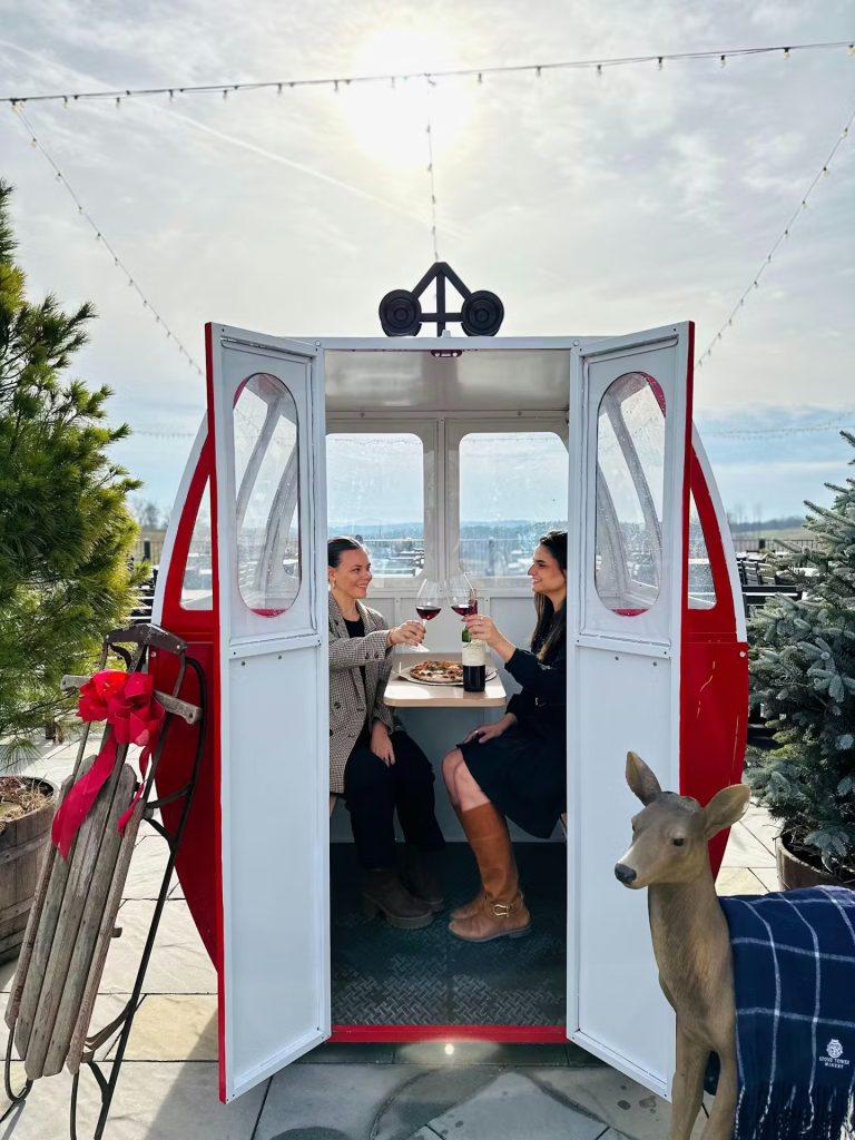 Ski Gondola Wine Flight